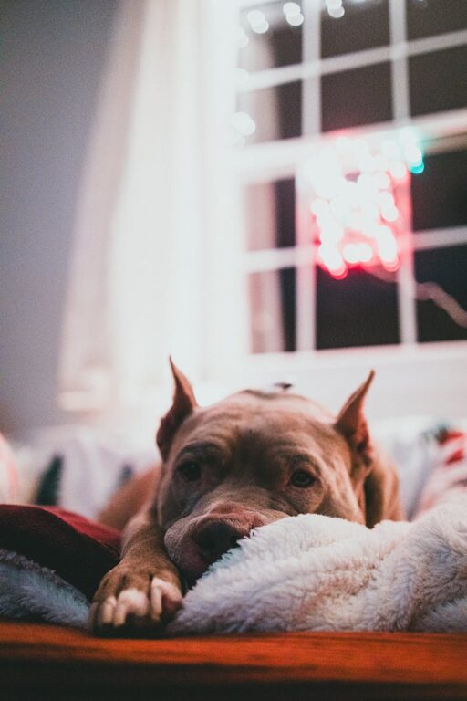 Small Changes for a Calmer Evening Routine